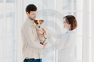 Sideways shot of veterinary woman going to examine sick dog. Jack russell terrier dog and his owner come to vet clinic, need help photo