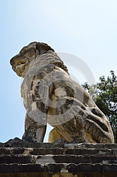 Sideways view of Aphipolis Lion