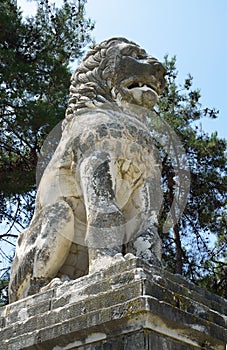 Sideways view of Aphipolis Lion