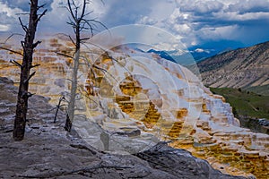 Sideways view of Canary Spring and terraces in the Mammoth Hot Spring area of Yellowstone National Park