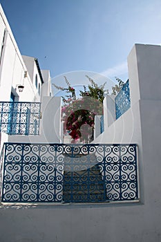 Sidi Bou said