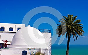 Sidi Bou Said - Mediterranean Sea and Palm Tree