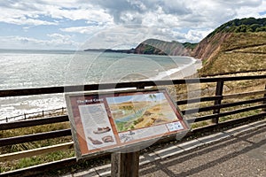 Sidmouth Beach, Devon, England, UK