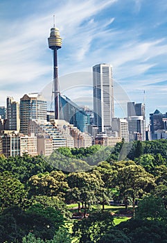 Sidney cityscape panorama and Hyde park photo