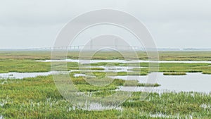 Sidney Lanier suspension bridge of Brunswick, Georgia overlooking the salt marshes of Jekyll Island