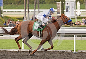 Sidney's Candy Wins The San Felipe