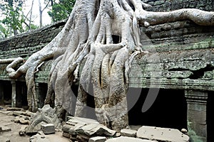 Siem Reap temple