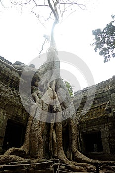 Siem Reap temple