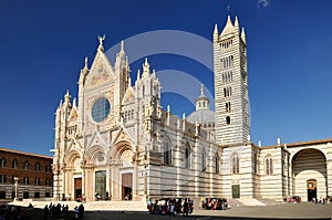 Siena Cathedral (duomo)