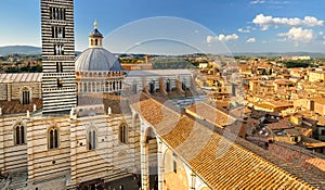 Siena Cathedral (duomo)