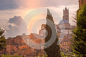 Siena Cathedral, sunset view, Tuscany, Italy