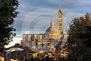 Siena Cathedral Duomo. Sunset