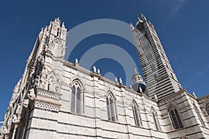 Siena Cathedral and Tower