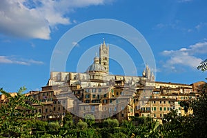 Siena city and duomo from san domenico