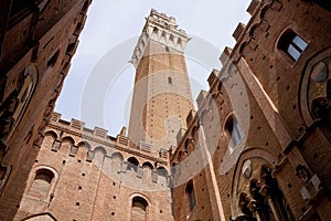 Siena City Hall. View from Palazzo Pubblico courtyard with the imposing tower Torre del Mangia, Siena, Tuscany, Italy