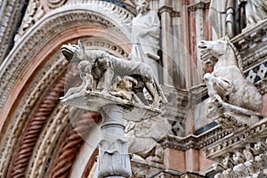 Siena dome cathedral external view detail of statue wolf with romolus and remus