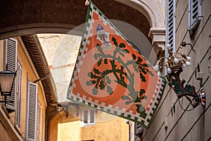 SIENA, ITALY - SEPTEMBER 23, 2023 - Contrade flag of the Selva-Rhino city district hanging in a street in downtown Siena