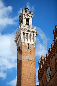 Siena, Italy. Torre del Mangia