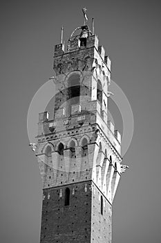 Siena, Italy. Torre del Mangia