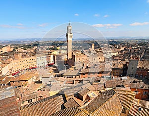 Siena in ITALY with the Tower called DEL MANGIA and the Palio square