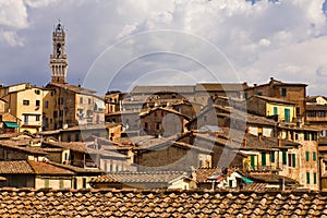 Siena Rooftops