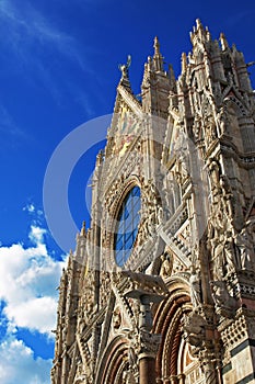 Siena's cathedral