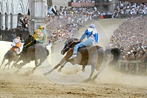 Siena's palio horse race