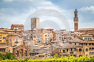 Siena town, view of ancient city in the Tuscany region of Italy