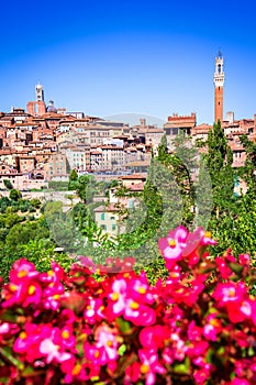 Siena, Tuscany, Italy - Torre del Mangia and the Dome