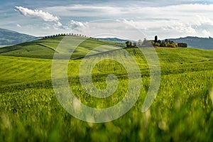 Siena, Val d'Orcia, tuscany