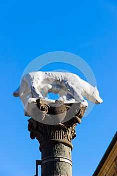 Sienese She-Wolf in Via Pantaneto in Siena, Italy