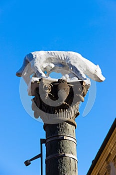 Sienese She-Wolf in Via Pantaneto in Siena, Italy