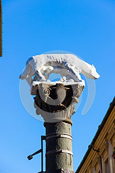 Sienese She-Wolf in Via Pantaneto in Siena, Italy