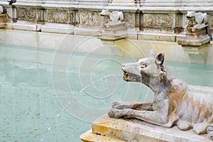 SIENNA, TUSCANY/ITALY - MAY 18 : Detail of the fountain in the m