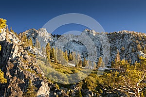 Sierra Alpine Meadow