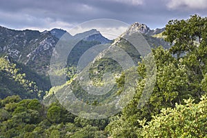 Sierra Blanca. Striations with the Sierra de las Nieves National Park, Malaga. Andalusia, Spain photo