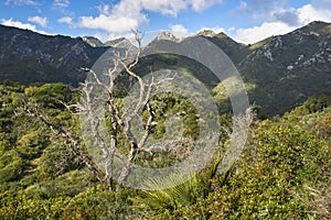 Sierra Blanca. Striations with the Sierra de las Nieves National Park, Malaga. Andalusia, Spain photo