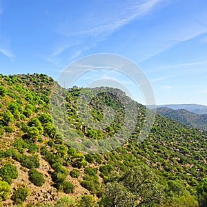 Sierra de Andujar Natural Park with the Sanctuary of the Virgen de la Cabeza in the background, Spain photo