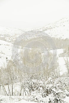 Sierra de Baza Natural Park in Granada, Andalusia - Spain. photo