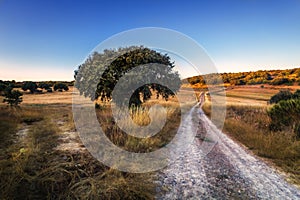 Sierra de la culebra en Zamora Spain