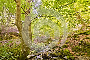 Sierra de la Demanda Protected Area, La Rioja, Spain photo