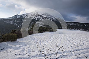 Sierra de la Sagra photo