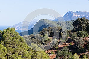 Sierra de Tramuntana mountains in Banyalbufar, Majorca