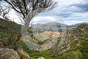 Sierra de Tramuntana view from Lluc photo