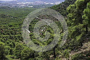 Sierra Espuna, a green oasis in southern Spain, Murcia photo