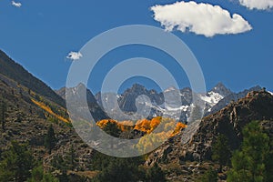 Sierra Fall Foliage