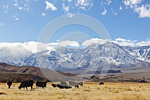 Sierra Nevada Mountains