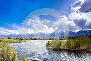 Sierra Nevada Pond