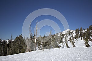 Sierra Nevada snow ranges