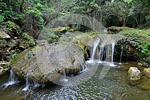 Sierra Rosario Biosphere Reserve, Pinar del Rio